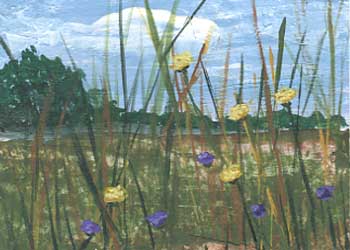 "Field Of Wildflowers" by Julie Boland, Wausau WI - Acrylic